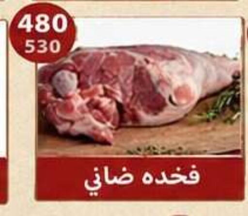 available at هايبر سامي سلامة وأولاده in Egypt - القاهرة