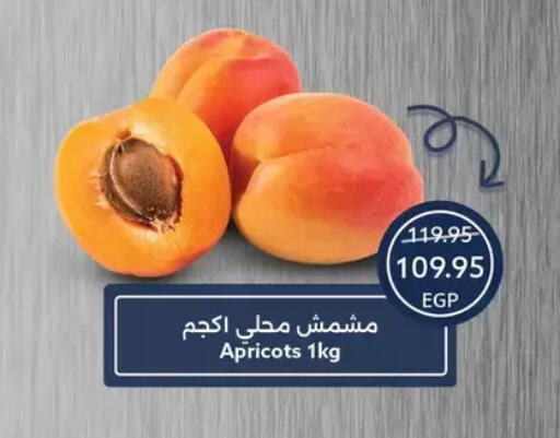 available at Oscar Grand Stores  in Egypt - Cairo