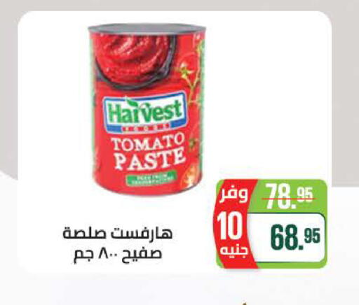 Tomato available at سعودي سوبرماركت in Egypt - القاهرة