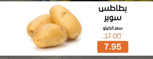 available at بيت الجملة in Egypt - القاهرة