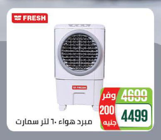 available at سعودي سوبرماركت in Egypt - القاهرة