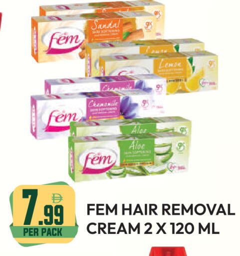 Lemon available at دريم لاند in الإمارات العربية المتحدة , الامارات - دبي