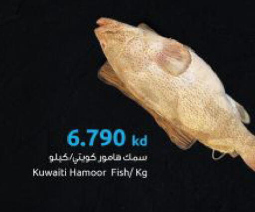 available at مركز سلطان in الكويت - مدينة الكويت