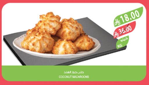 Coconut available at المزرعة in مملكة العربية السعودية, السعودية, سعودية - تبوك