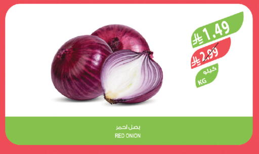 Onion available at Farm  in KSA, Saudi Arabia, Saudi - Al Khobar