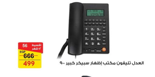 available at Fathalla Market  in Egypt - Cairo