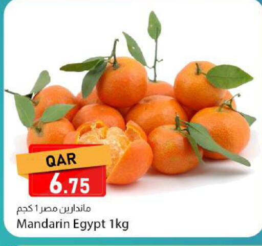 Mandarin from Egypt available at دانا ماركت in قطر - الوكرة