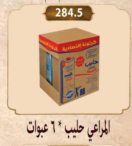 available at Hyper Samy Salama Sons in Egypt - Cairo
