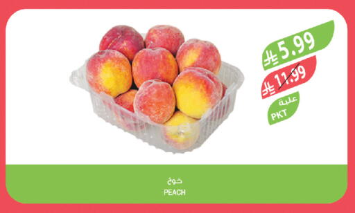 Peach available at المزرعة in مملكة العربية السعودية, السعودية, سعودية - تبوك