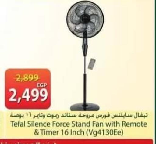 available at سبينس in Egypt - القاهرة