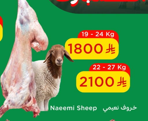 available at وهج مارت in مملكة العربية السعودية, السعودية, سعودية - جدة