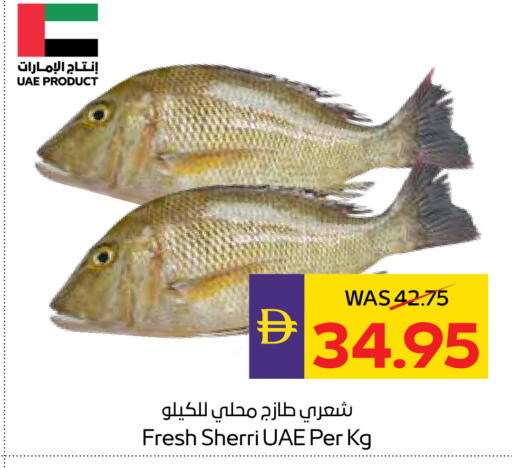 available at ADCOOP in UAE - Abu Dhabi