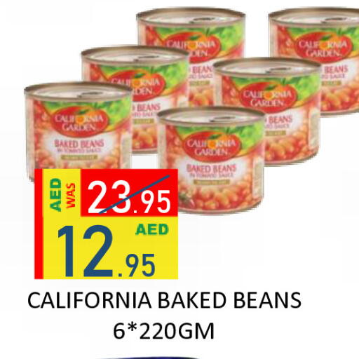 available at رويال جلف هايبرماركت in الإمارات العربية المتحدة , الامارات - أبو ظبي
