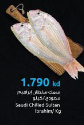 available at مركز سلطان in الكويت - مدينة الكويت