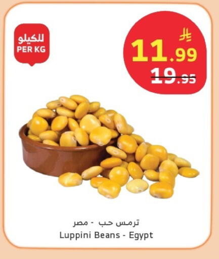 available at Al Raya in KSA, Saudi Arabia, Saudi - Al Qunfudhah