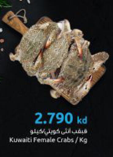available at مركز سلطان in الكويت - مدينة الكويت