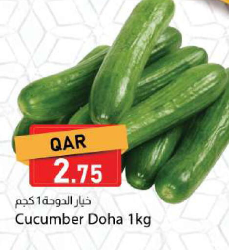 Cucumber from Qatar available at دانا ماركت in قطر - الوكرة