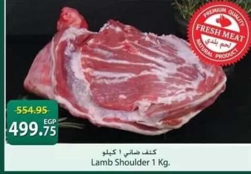 available at سبينس in Egypt - القاهرة