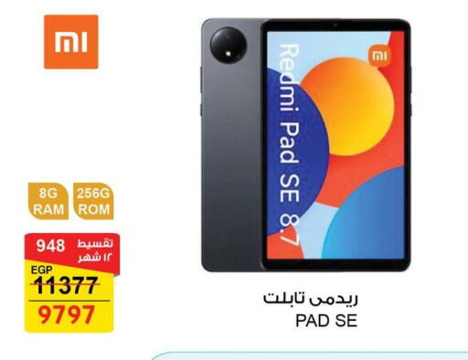 available at فتح الله in Egypt - القاهرة