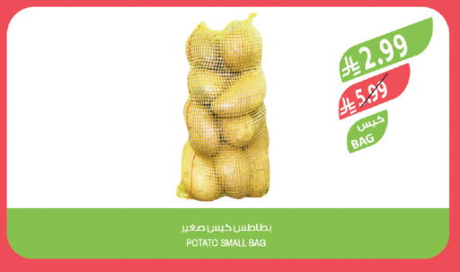 Potato available at Farm  in KSA, Saudi Arabia, Saudi - Al Khobar