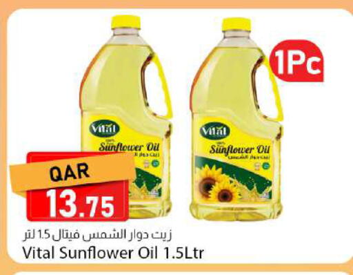 available at دانا ماركت in قطر - الوكرة