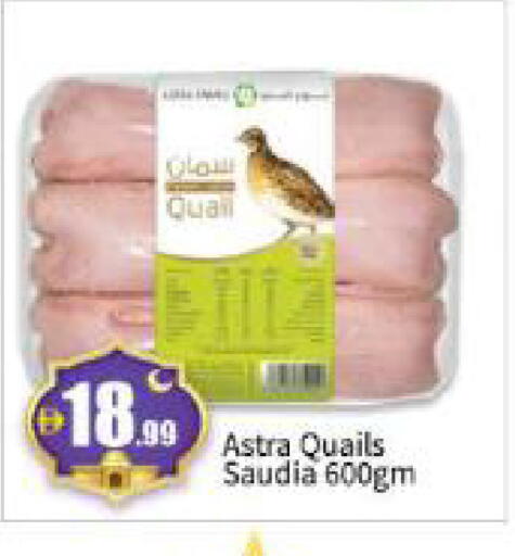 available at بيج مارت in الإمارات العربية المتحدة , الامارات - أبو ظبي