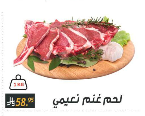 available at سنام سوبرماركت in مملكة العربية السعودية, السعودية, سعودية - الرياض