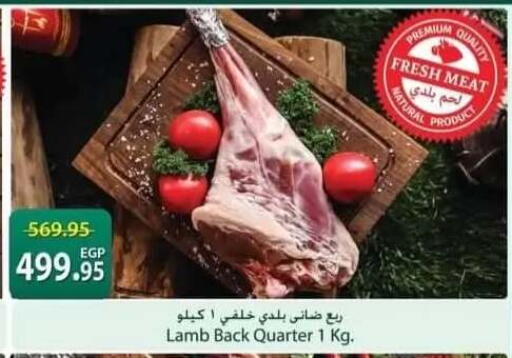 available at سبينس in Egypt - القاهرة