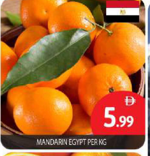Mandarin from Egypt available at بيج مارت in الإمارات العربية المتحدة , الامارات - أبو ظبي