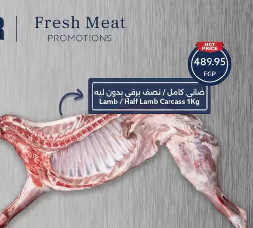 available at Oscar Grand Stores  in Egypt - Cairo