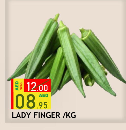 available at رويال جلف هايبرماركت in الإمارات العربية المتحدة , الامارات - أبو ظبي