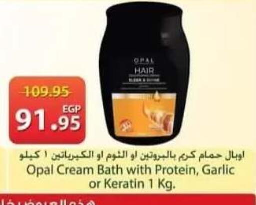 Garlic available at سبينس in Egypt - القاهرة
