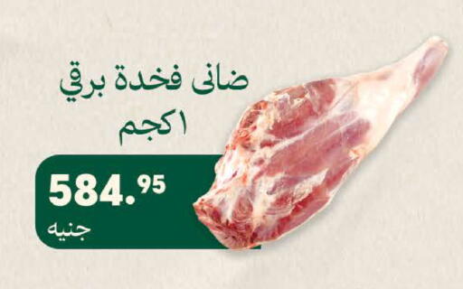 available at سعودي سوبرماركت in Egypt - القاهرة