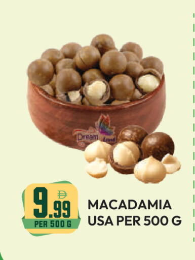 available at دريم لاند in الإمارات العربية المتحدة , الامارات - دبي