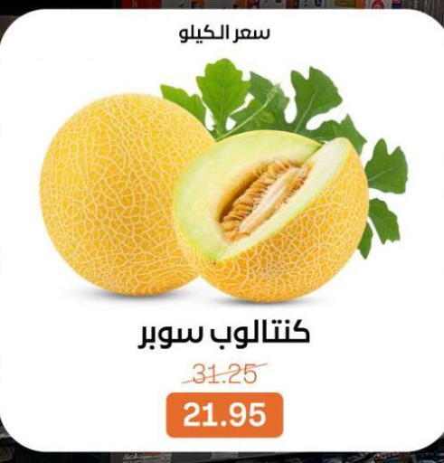 available at بيت الجملة in Egypt - القاهرة