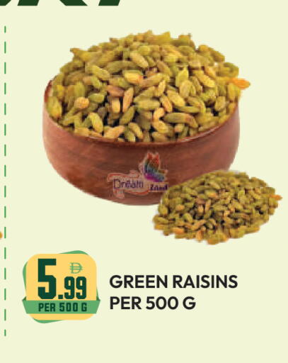 available at دريم لاند in الإمارات العربية المتحدة , الامارات - دبي