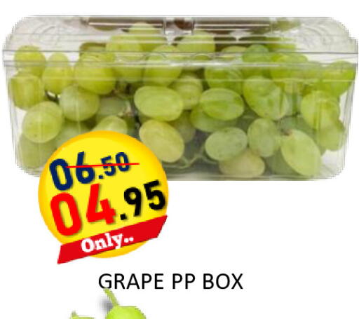 available at رويال جلف هايبرماركت in الإمارات العربية المتحدة , الامارات - أبو ظبي