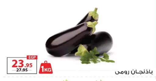 available at زهران ماركت in Egypt - القاهرة