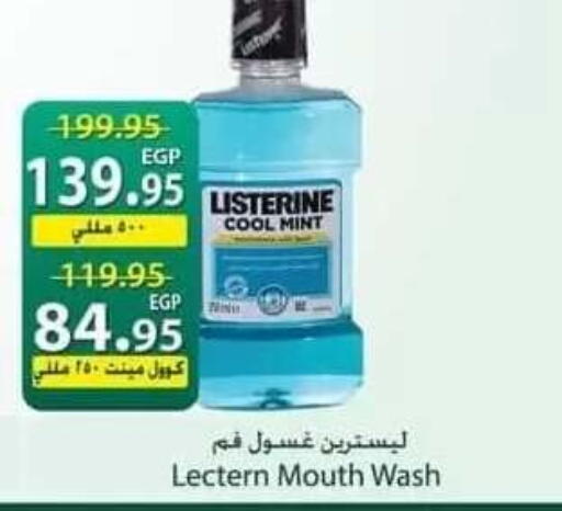Mint available at سبينس in Egypt - القاهرة