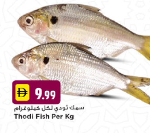 available at نيومارت هايبرماركت in الإمارات العربية المتحدة , الامارات - دبي