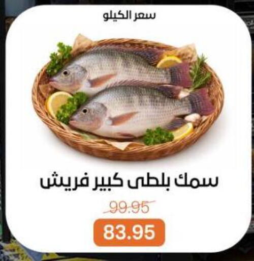 available at بيت الجملة in Egypt - القاهرة