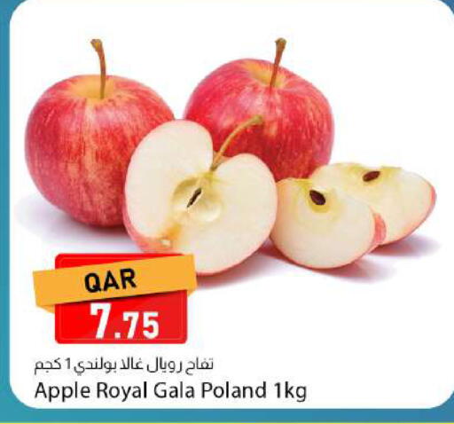 Apple from Poland available at دانا ماركت in قطر - الوكرة