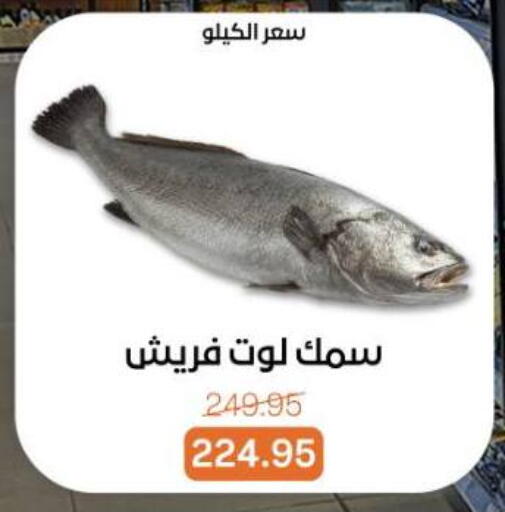 available at بيت الجملة in Egypt - القاهرة
