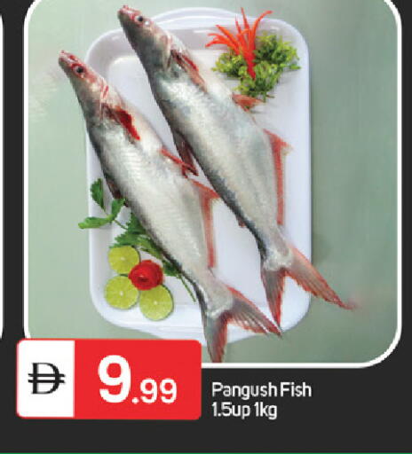 available at سوق طلال in الإمارات العربية المتحدة , الامارات - دبي