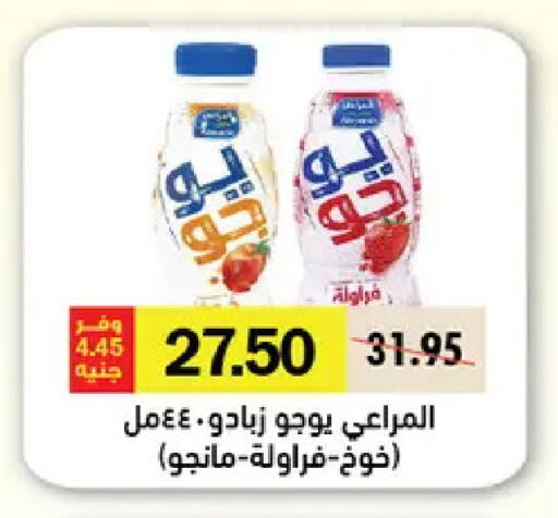 available at رويال هاوس in Egypt - القاهرة
