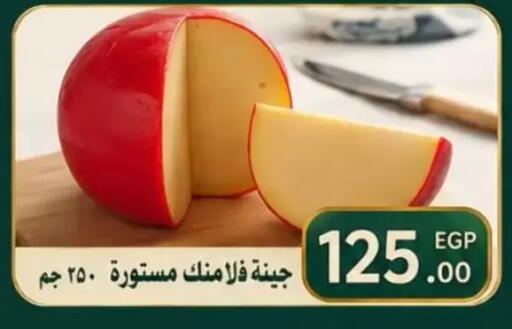 available at الكواوي ماركت in Egypt - القاهرة