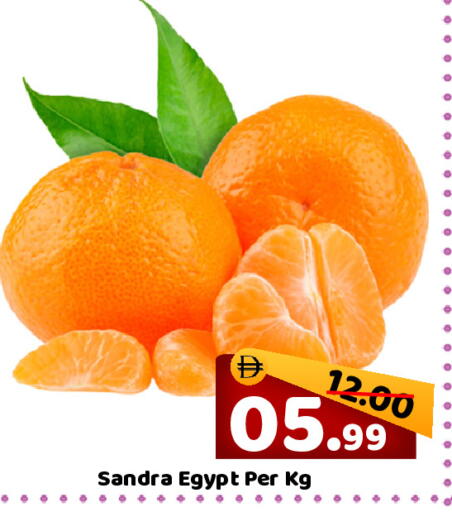 from Egypt available at رويال جلف هايبرماركت in الإمارات العربية المتحدة , الامارات - أبو ظبي