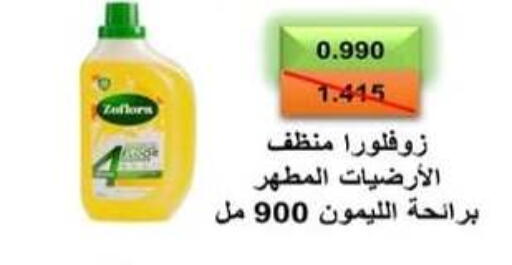 available at  Al Adan And Al Qusor Co-Op in Kuwait - Ahmadi Governorate