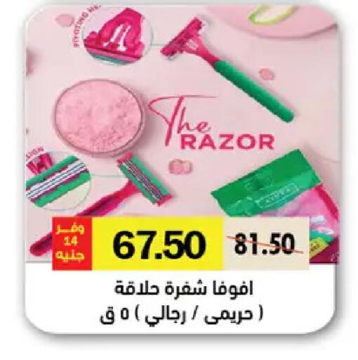 available at رويال هاوس in Egypt - القاهرة