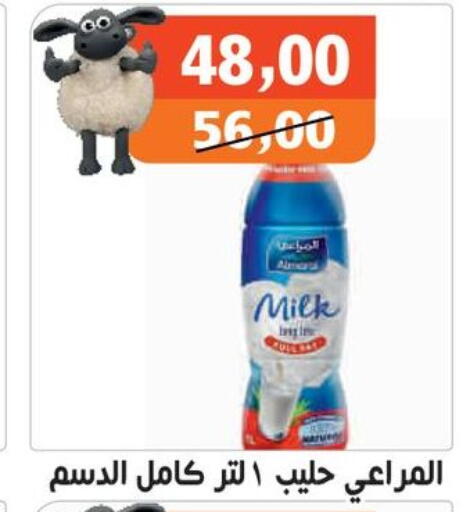 available at Hassan Son's in Egypt - Cairo
